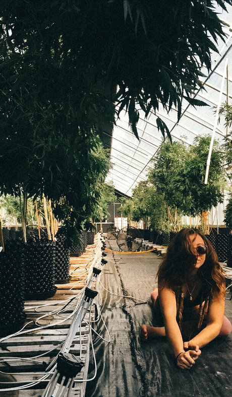 danceincannabis beautiful actress galleries