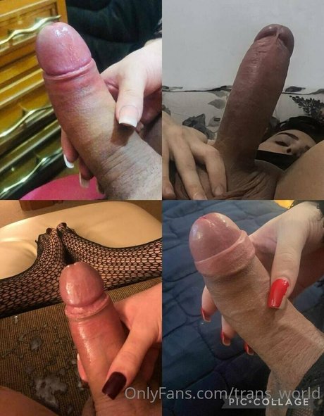 trans world free pornstar pictures