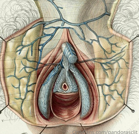 asian ebony onlyfans naked img