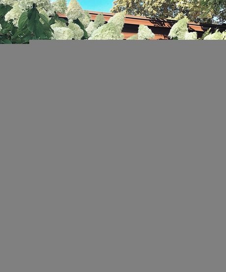 Kaylee S actress galleries