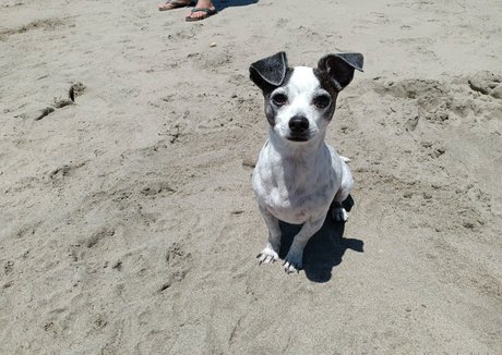 sneakykirby star perfect photos