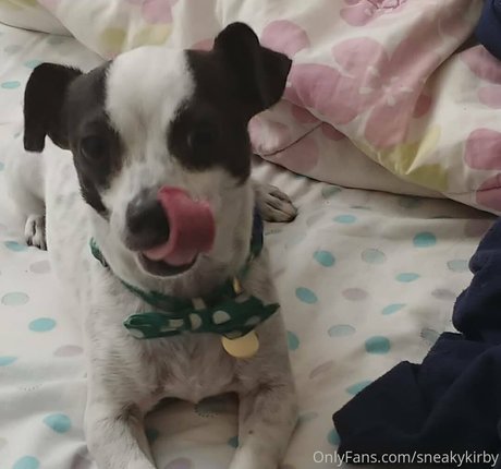 sneakykirby pornographic star photo