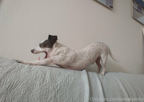 sneakykirby porn actress photo