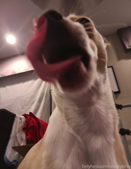 perky tits onlyfans hot sexy galleries