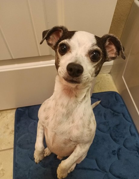 sneakykirby star sex galleries