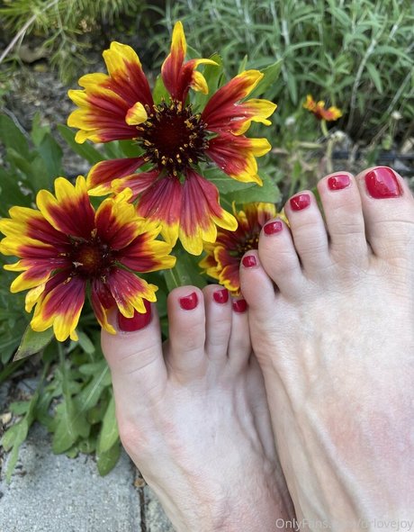 drlovejoy star sex photo