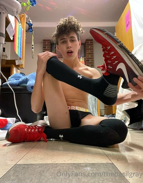 basilgray star high quality img