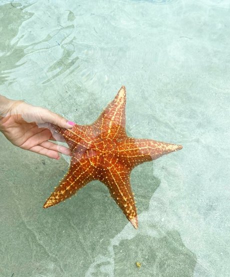 Dana Sartov beautiful model img