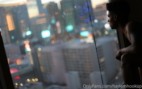 trans free onlyfans adult pic