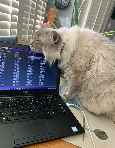 chatting onlyfans beautiful porn galleries