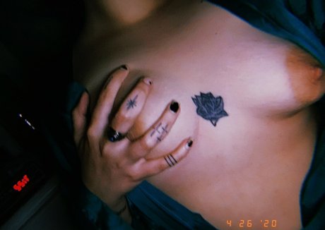 catandbean nice model image