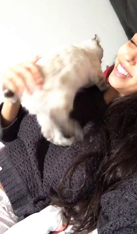 lesbian orgy onlyfans free sexy img