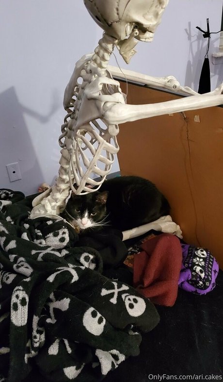 Ari cakes perfect model archive