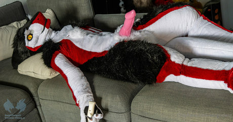 sergnderg pornstar pictures