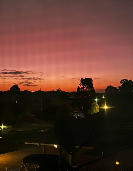 pzz drey naked model img