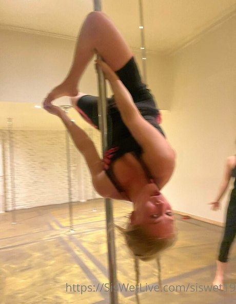 siswetvip art star gallery