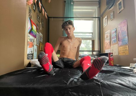 thebasilgray star hd photo