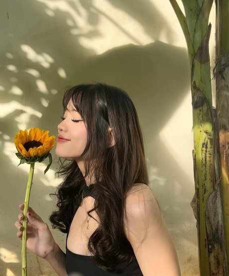 tripppollen star adult image