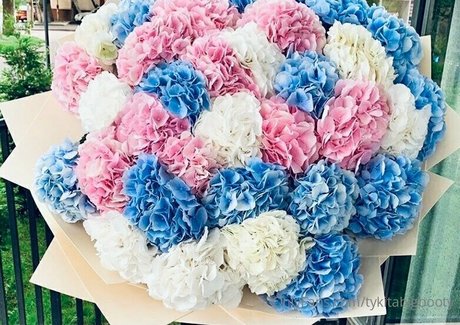 tykitabigbooty star sex pics