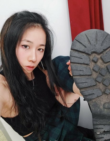 nakito free star beautiful gallery