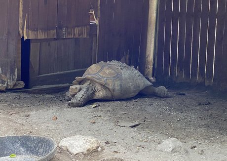 bbc orgy onlyfans art porn images