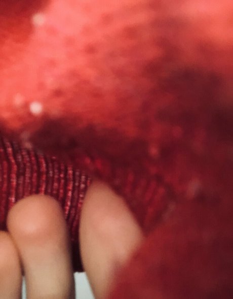 giantesselixs nudes model images