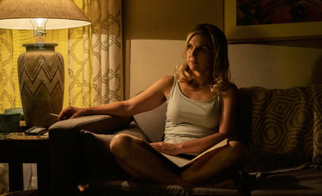 Rhea Seehorn hot pornstar pictures