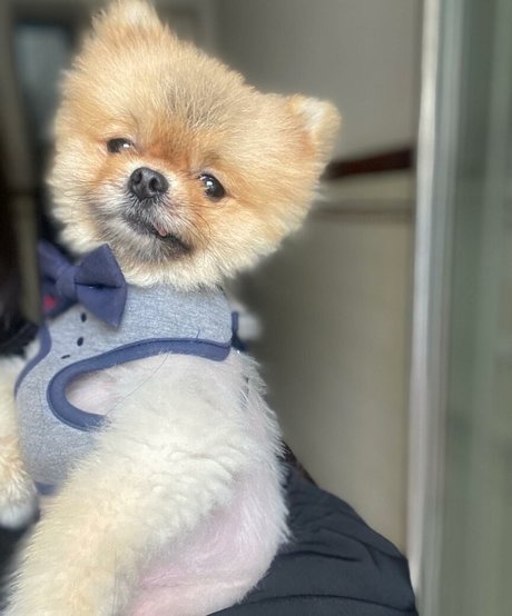 Maya Bulgarien best model pic