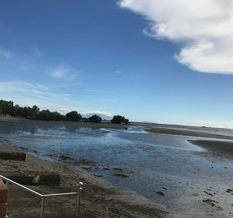 Reynalyn Torres high quality star image