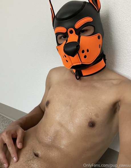 pup rawuu hd pornstar img