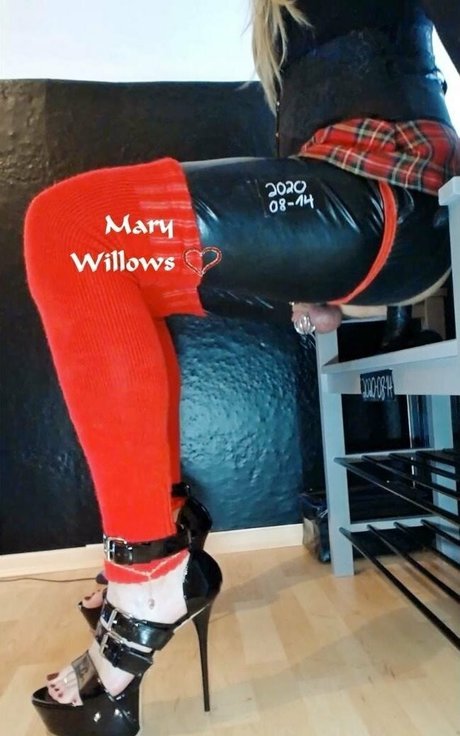 marywillows pornstar nice pics