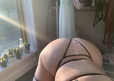 censoredlauren pornstar nudes pics