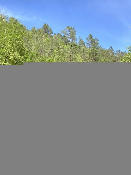 vicalouquafree pretty pornstar picture