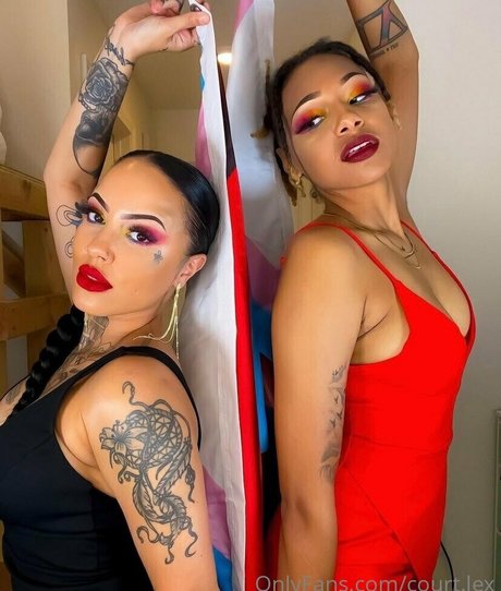 court lex star art pictures