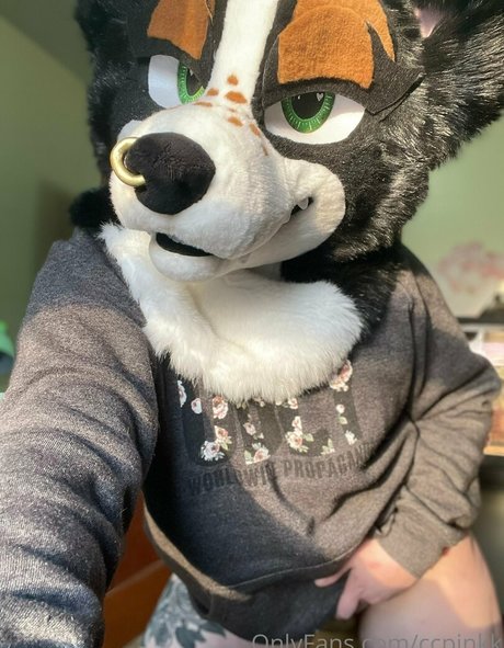 latina blowjob onlyfans free pics