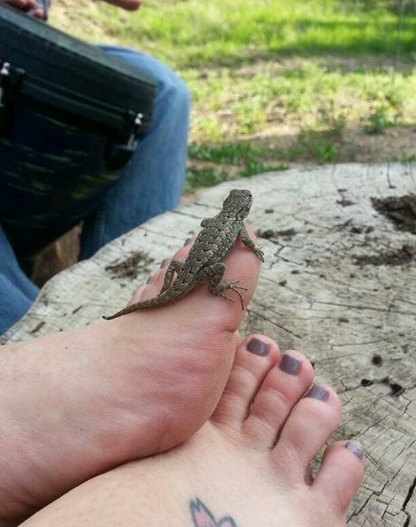 asmr babe onlyfans sexy xxx pic