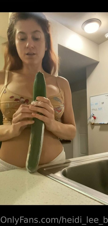 Heidi Lee Bocanegra pornstar naked archive