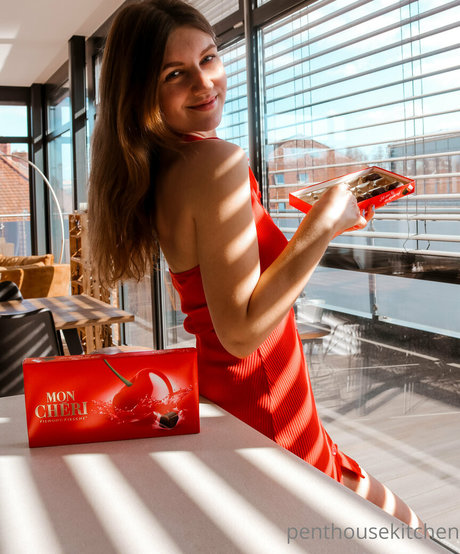 penthousekitchen star picture