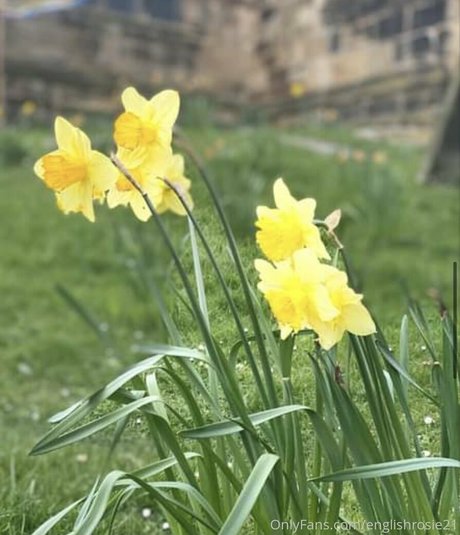 bang onlyfans beautiful nude image