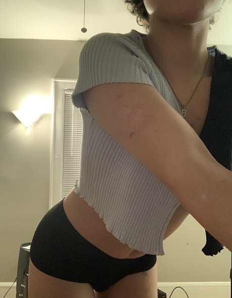 nevenevnev model top image