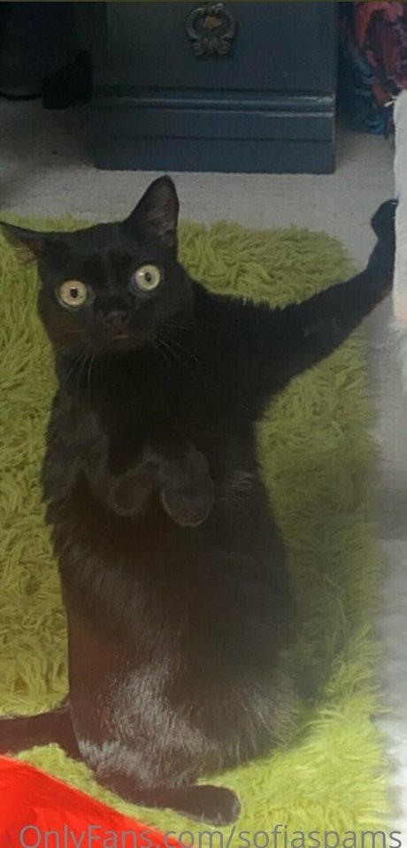 feet free onlyfans sexy nude images