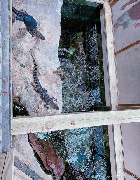 asian brunette onlyfans hot xxx gallery