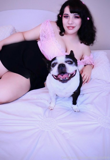 DemonG Bugs star hd photos