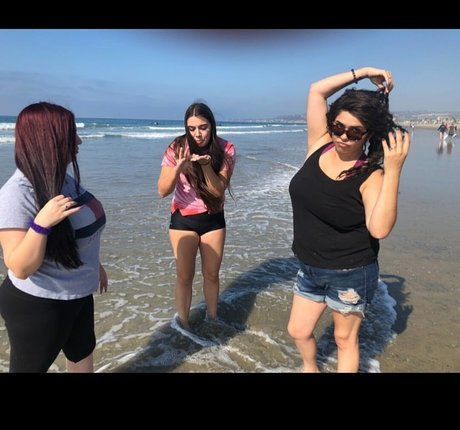 drearoseee star best picture