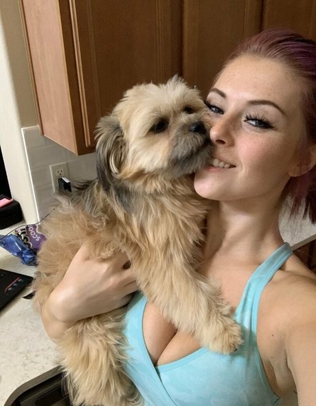 Wrestler free star image