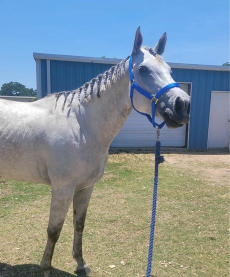 gay midget onlyfans hot naked gallery