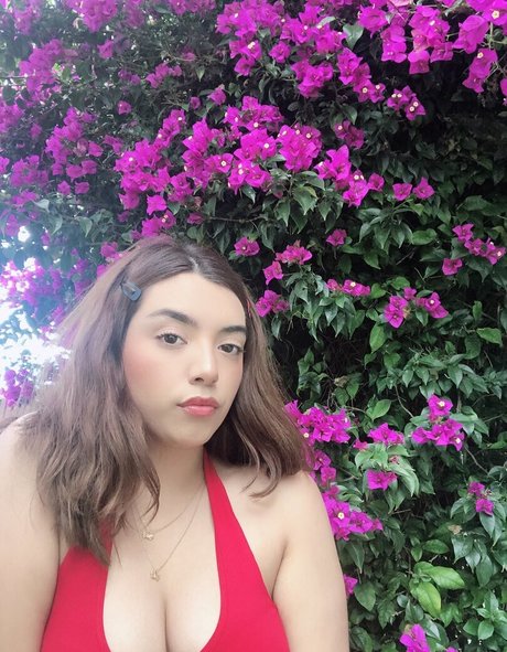 crazy onlyfans pornos galleries