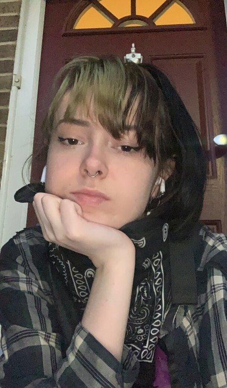 frogs25 sexy star galleries