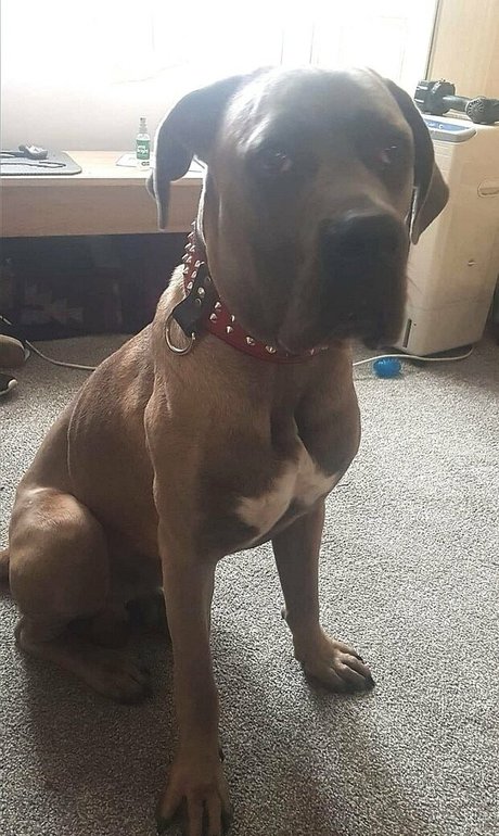 ebony mature onlyfans sexy xxx images