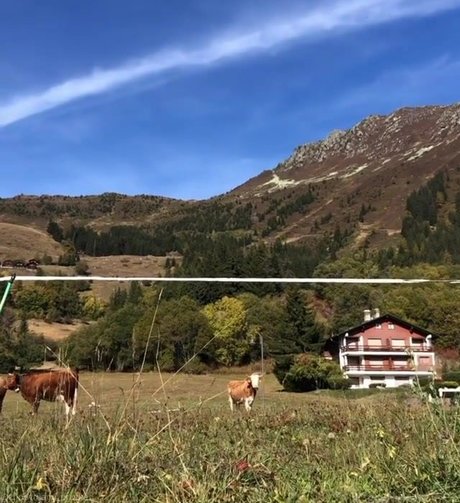 krippymami best star pictures